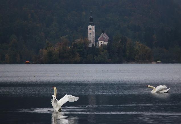 Apartment Villa Vltava بليد المظهر الخارجي الصورة